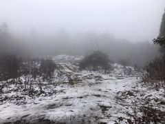 -武陵山森林公园