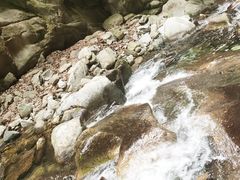 -黑河国家森林公园