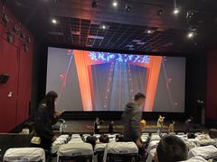 -中影佰纳国际影城DMAX(花都广百广场店)