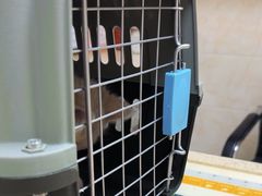 -动物缘宠物医院·骨科·猫科(西二环店)