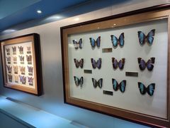 -上海昆虫博物馆