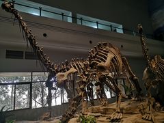 -自贡恐龙博物馆