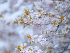 -山东师范大学(千佛山校区)