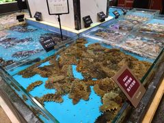 水产区-徐记海鲜(开福寺|伍家岭店)