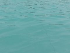 -平江亚马逊水上乐园