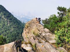 -南山植物园