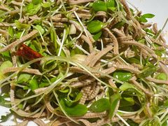 -小土豆北方菜馆(文慧园店)