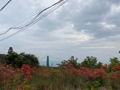 -玉苍山国家森林公园