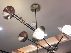 -杨氏青龙虾·羊蝎子(金盛路总店)