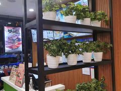 -四海游龙(大华店)