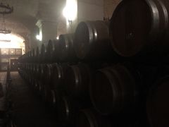 地下酒窖-北京张裕爱斐堡酒庄