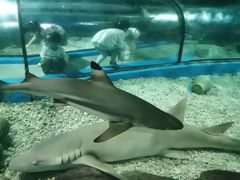 -福州罗源湾海洋世界旅游区