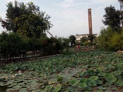 -茯茶镇