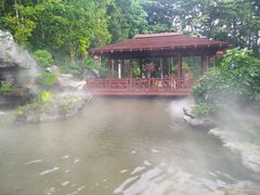 -东莞植物园