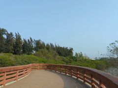 -宝安西湾红树林湿地公园