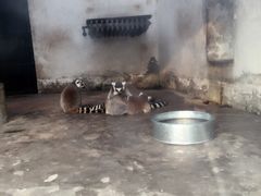 -石家庄市动物园