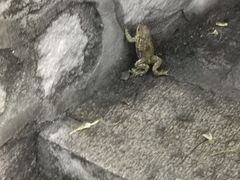 -碓臼峪自然风景区