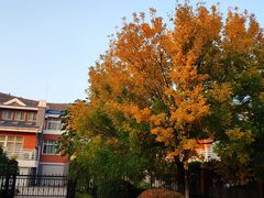 -山东大学(兴隆山校区)