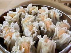 -白记饺子馆多伦道店