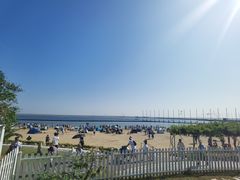 -碧海金沙