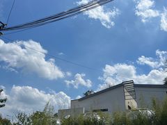 -雅苑中餐厅
