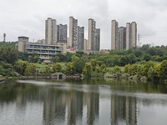 -张坝桂圆林公园