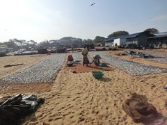 景点-尼甘布(Negombo)