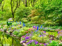 -上海共青森林公园