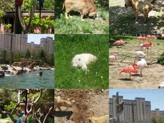 -野生动物园-停车场