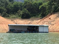 -广州市流溪河国家森林公园