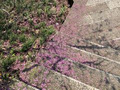 -天台山赤城山景区