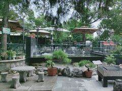 -蘇河湾·新鲁菜·泰山宴(泰山店)