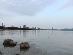 -深圳湾公园(南山区)