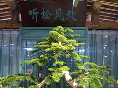 大堂-渝乡辣婆婆·川菜 水煮鱼(中山西路店)