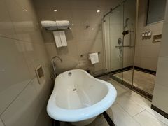 -圣爵菲斯大酒店(长沙世界之窗店)