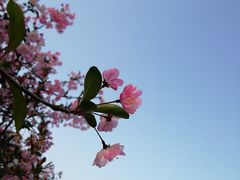 -苏州上方山国家森林公园