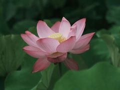 -梁鸿国家湿地公园