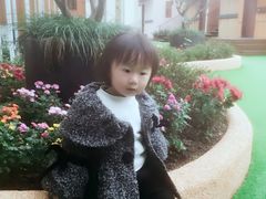 -前小桔亲子创意农场·草莓采摘·露营烧烤