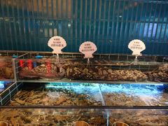 -雍容荟帝王蟹活龙虾展台自助(IFS黑金店)