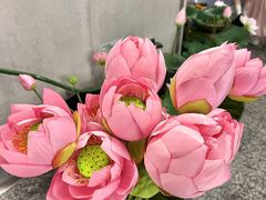 -金茂览秀城