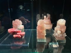 -中国地质博物馆
