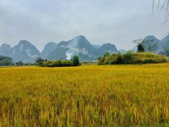 -靖西鹅泉风景区
