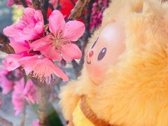 -杨家堂村