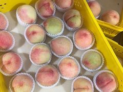 -老袁家蜜桃农场·阳山水蜜桃