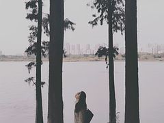-贡湖湾湿地公园