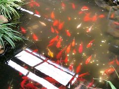 -北戴河集发农业梦想王国