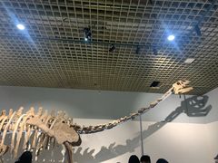 -大连自然博物馆·地球展厅