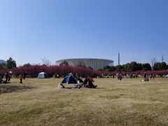 -长广溪湿地公园