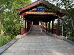 -长广溪湿地公园