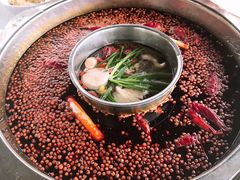 -枇杷园食为鲜火锅(南山店)